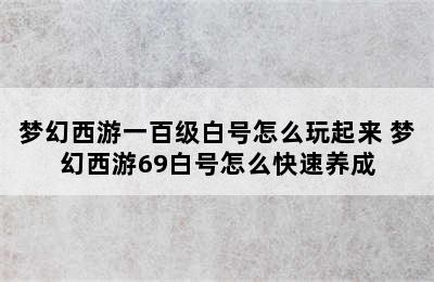 梦幻西游一百级白号怎么玩起来 梦幻西游69白号怎么快速养成